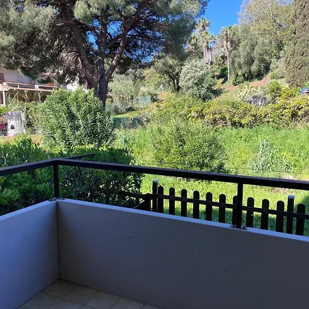 Palme Porto Azzurro